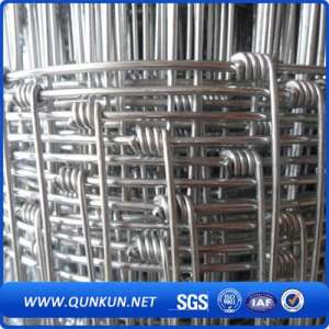 Galvanized Metal Cattle Fence (Hot Sale)