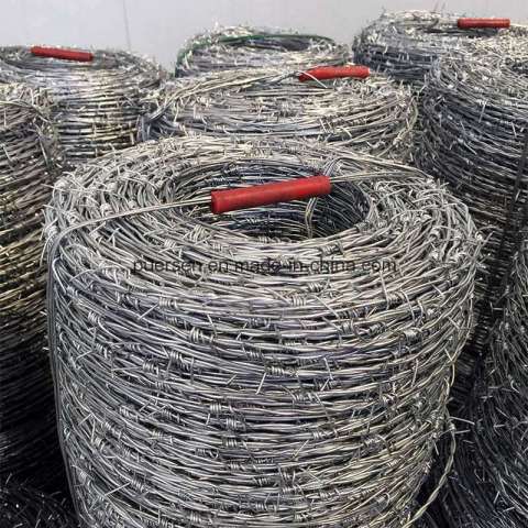 Galvanized Babrbed Wire, Fence Babred Wire