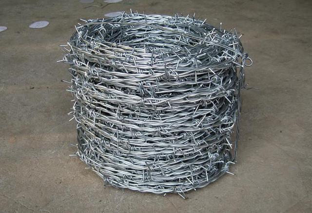 High Quality Low Carbon Galvanized Barbed Wire